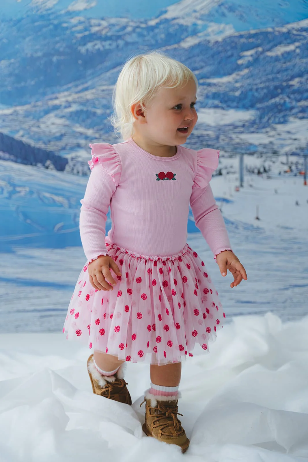 Rose Embroidery Tulle Dress