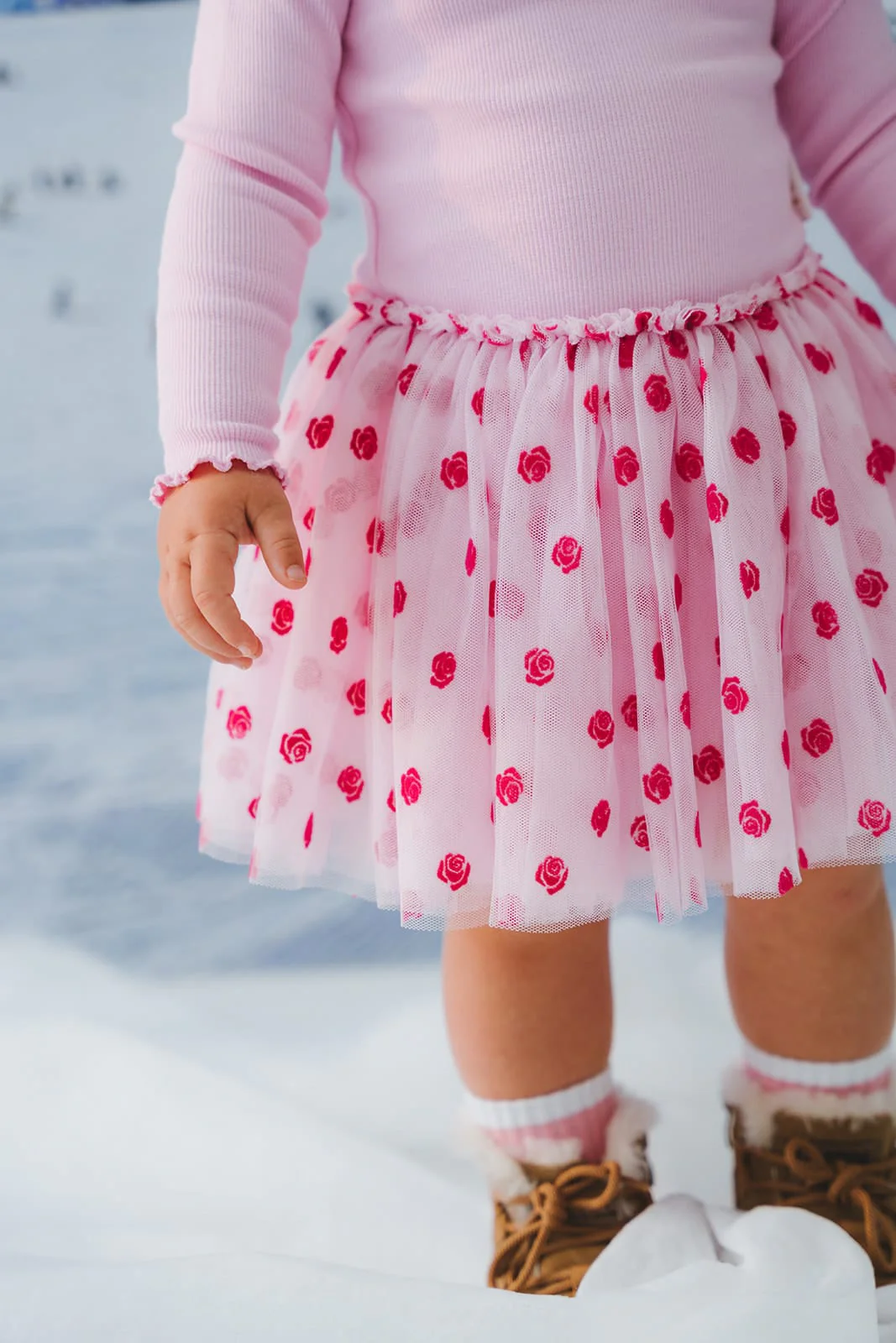 Rose Embroidery Tulle Dress - Image 5